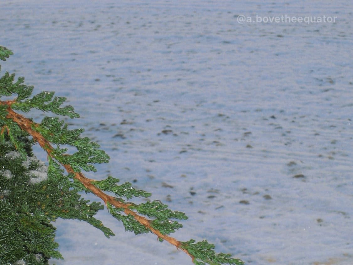 캐논코리아 익서스ixus 70 ixy 10 빈티지 디지털 카메라 상품이미지10