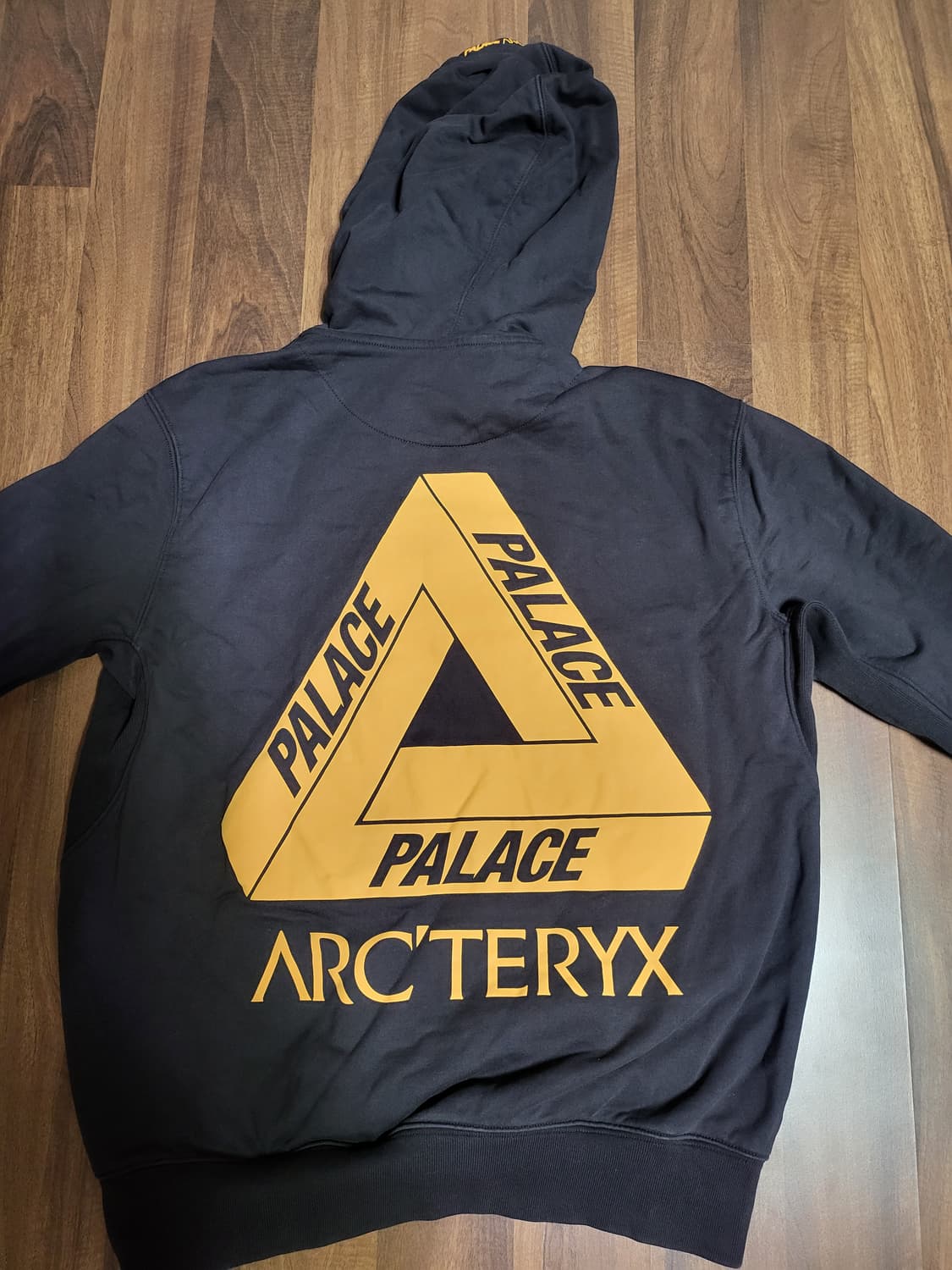 아크테릭스X팔라스 후드티 상품이미지2