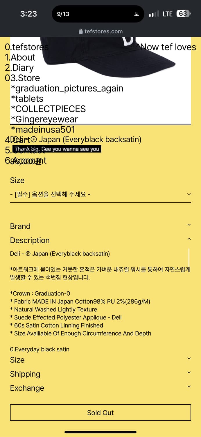 Tefstores 볼캡 블랙 라지 상품이미지2