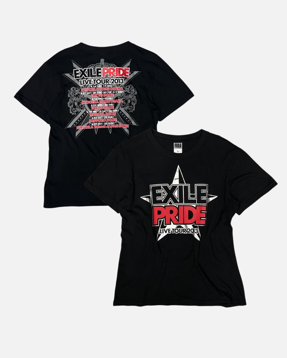 EXILE PRIDE 2013 tour official t-shirt 상품이미지1