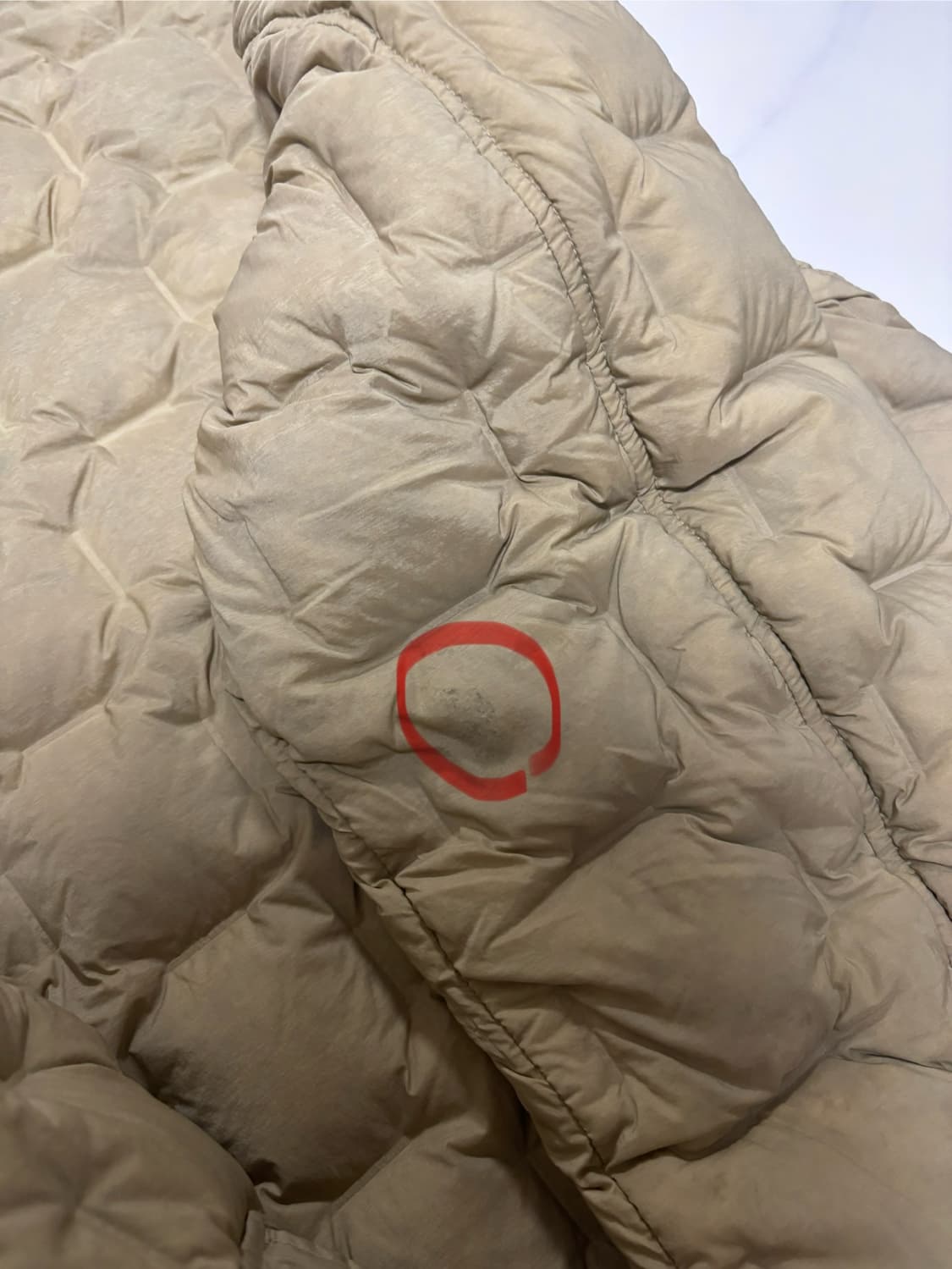 palace 22fw 퍼텍스 워크 다운 상품이미지7