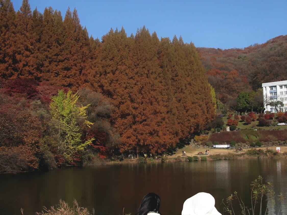 캐논 a20 빈티지 카메라 (작례 포함) 상품이미지9