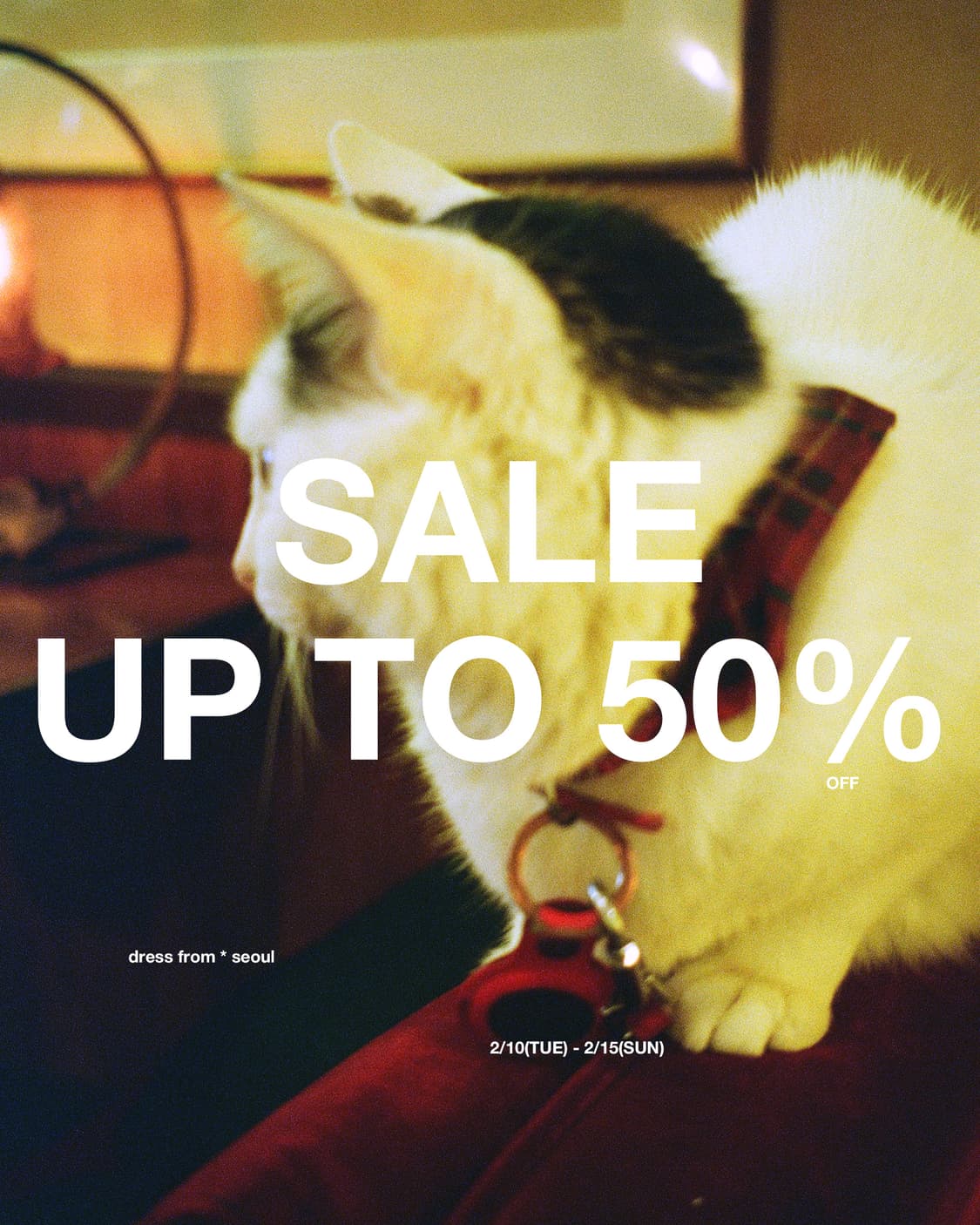 * SALE UP TO 50% OFF 상품이미지1