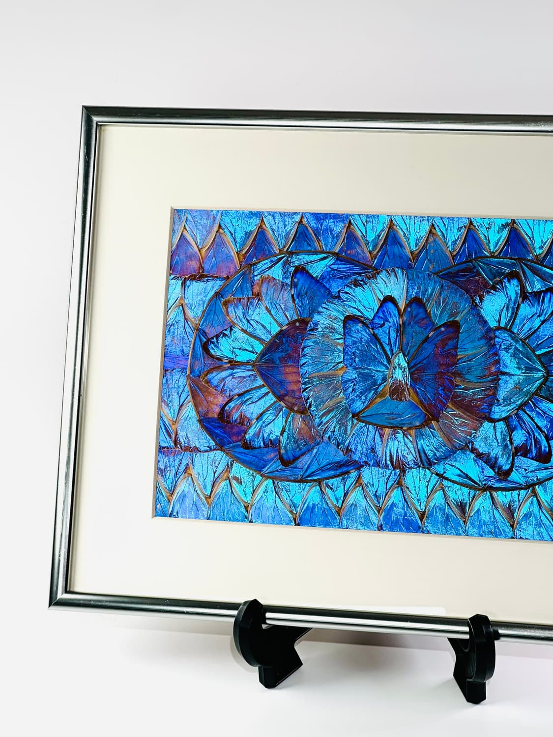 빈티지 브라질 모르포 버터플라이 윙 콜라주 아트 액자 상품이미지1