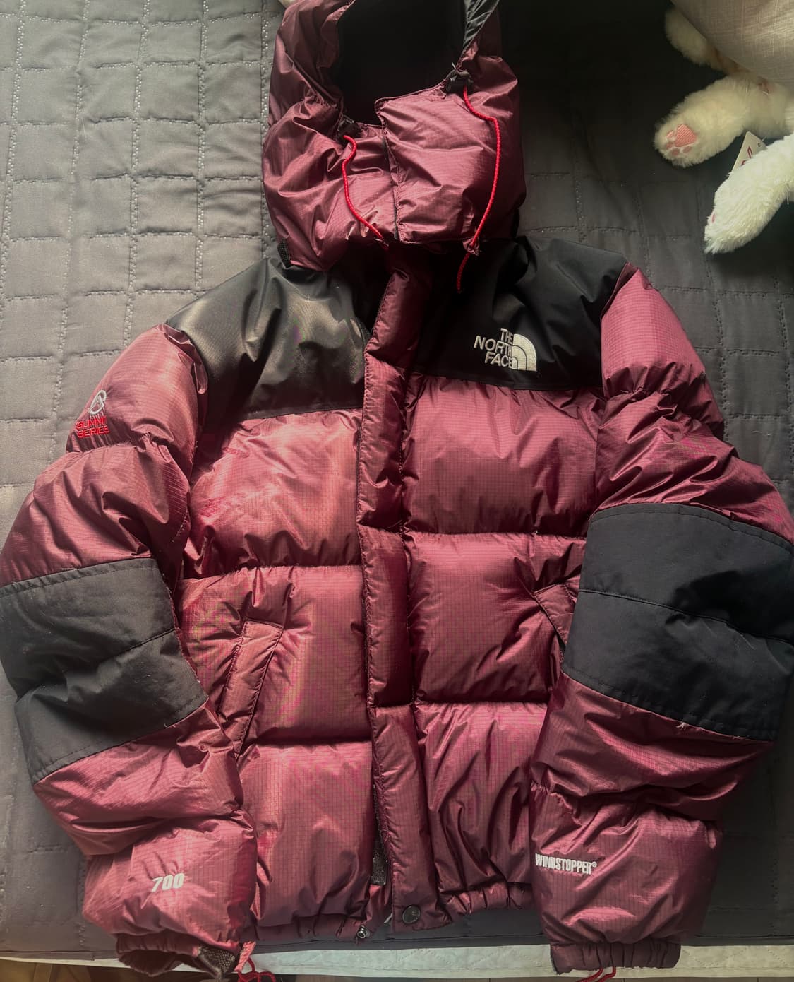 노스페이스 써밋시리즈 700 구스다운 패딩 상품이미지1
