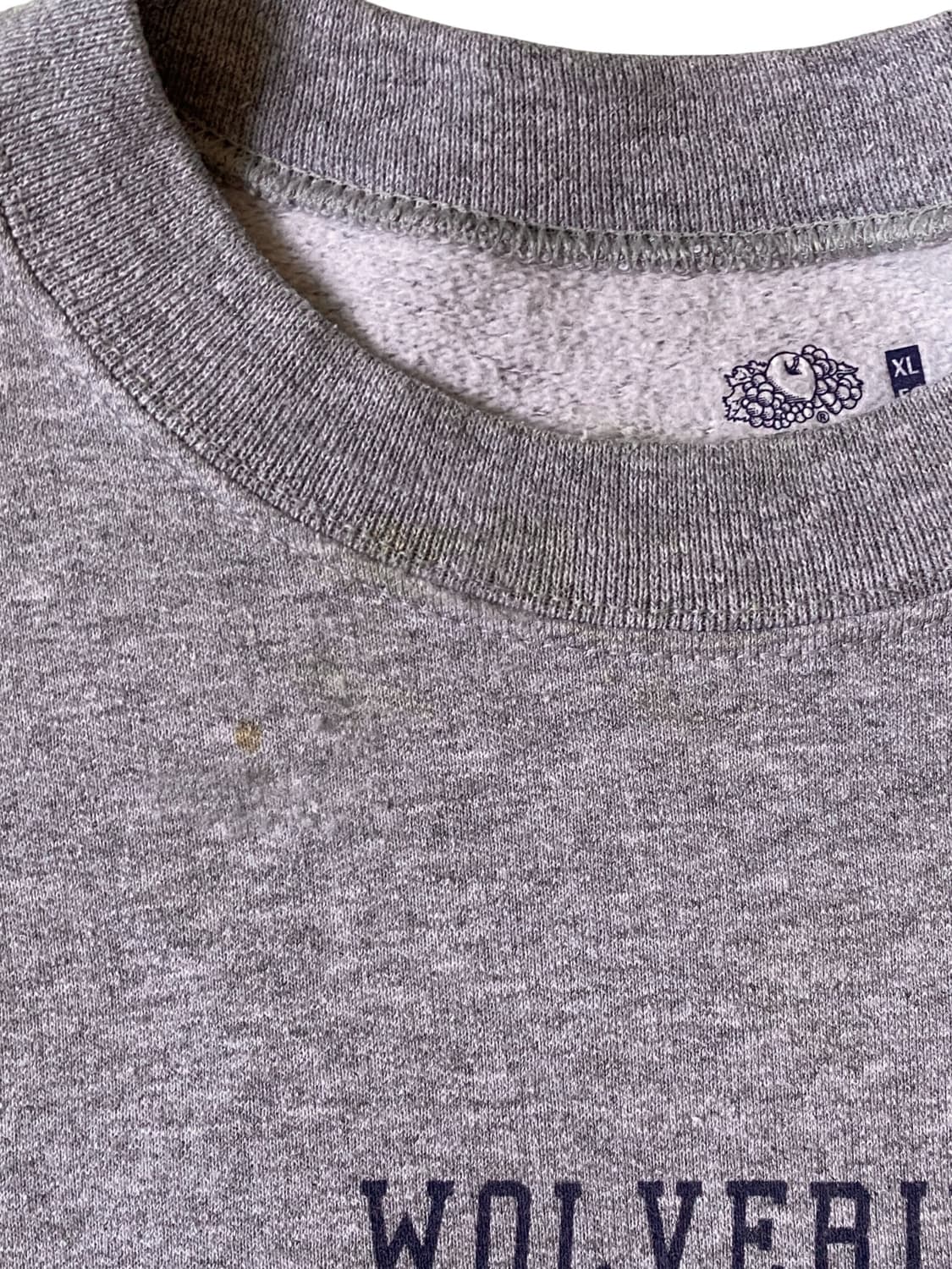 프루트 오브 더 룸 스웻셔츠 (Man XL) AB1343 상품이미지7