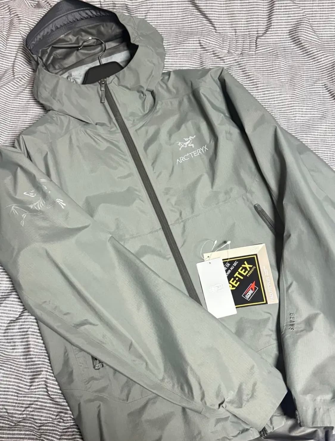 아크테릭스 빔즈 제타 L 상품이미지2