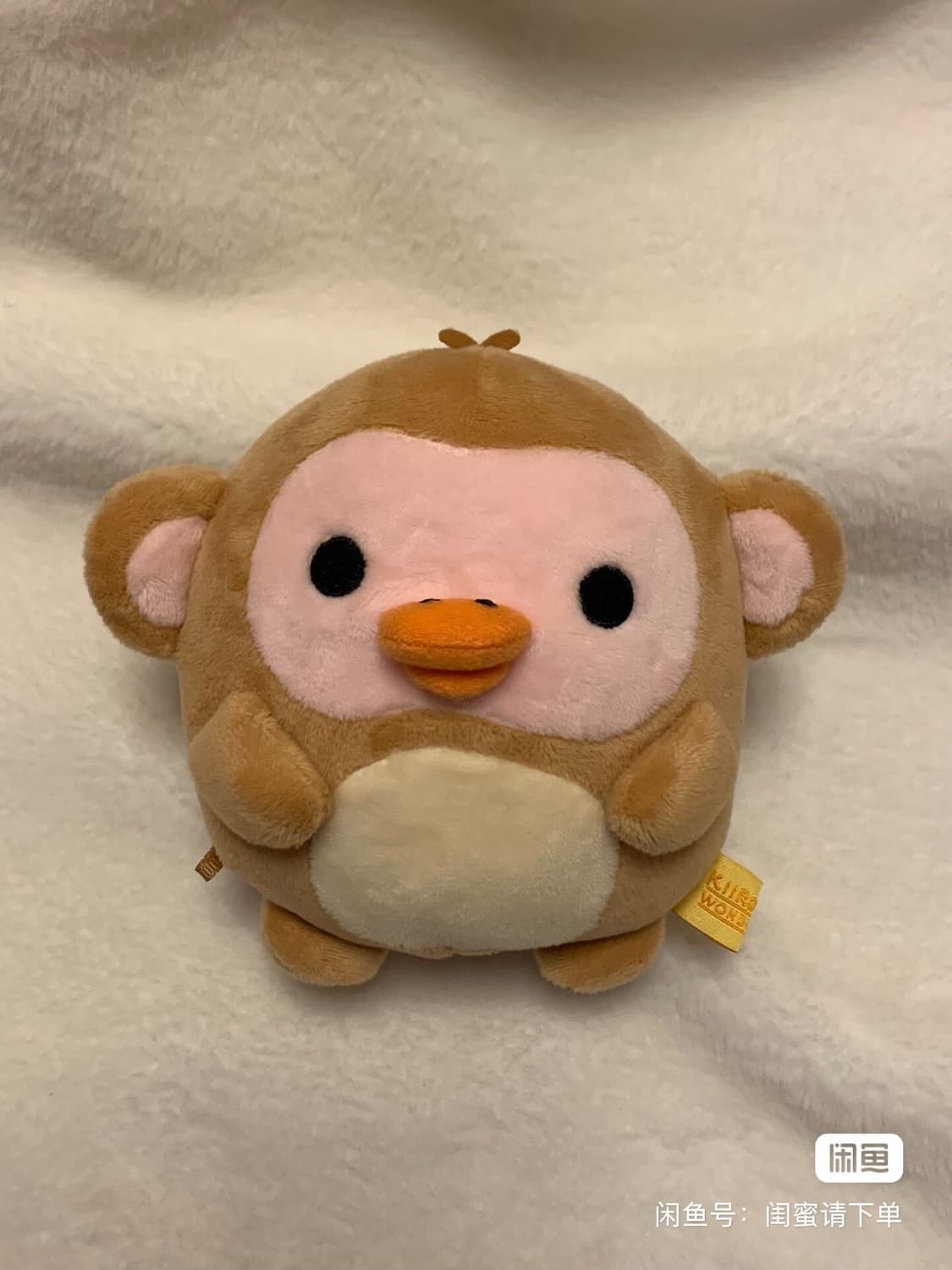 코이세이오결제창 상품이미지1