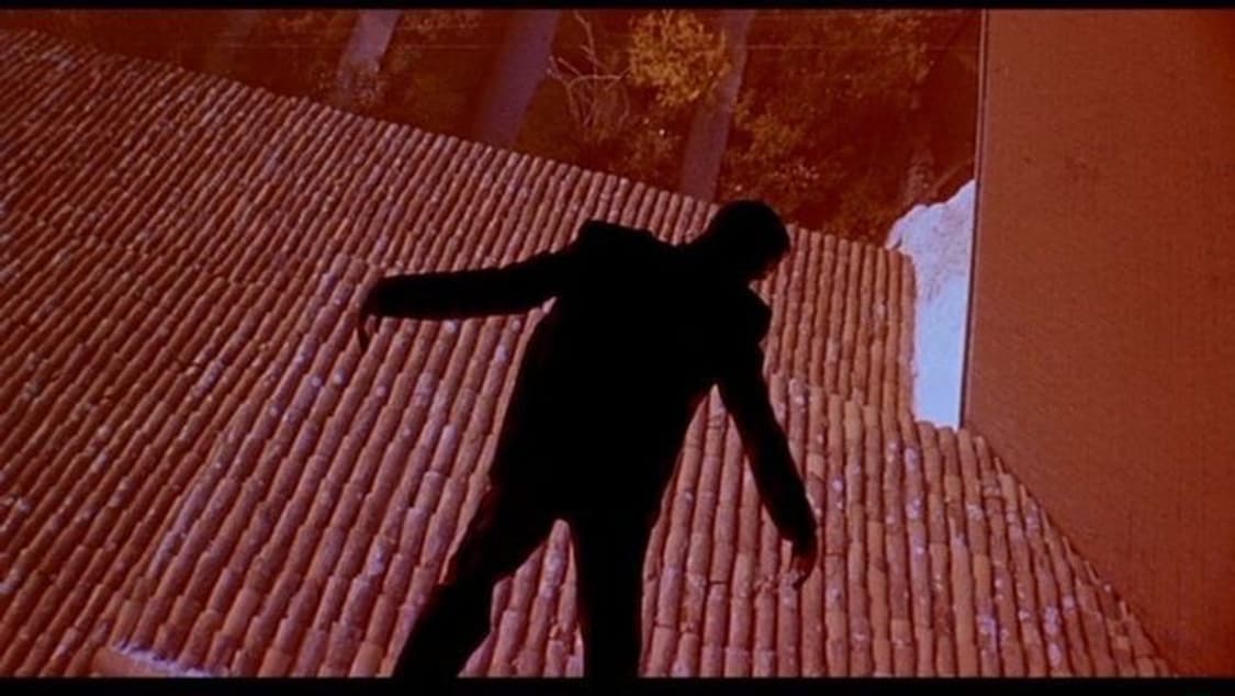 😵‍💫 현기증 팔찌 vertigo bracelet 상품이미지7