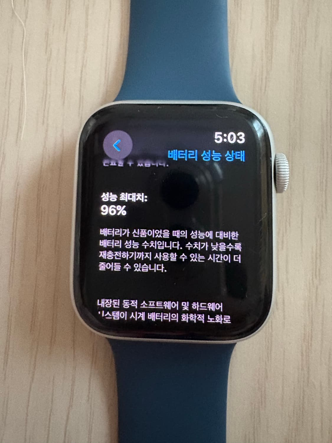 애플워치 se2 44mm 셀룰러 상품이미지2