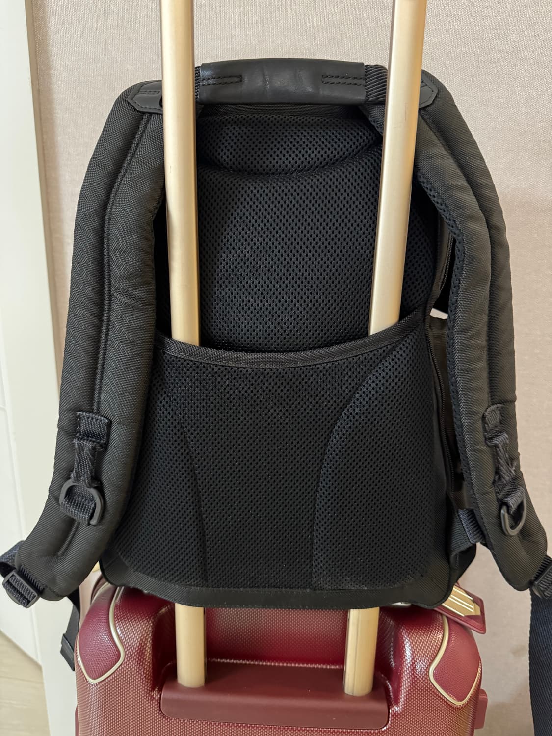 (A급.오염x)(25L)투미 알파 브라보 넬리스 블랙 백팩 배낭 사무용  상품이미지6