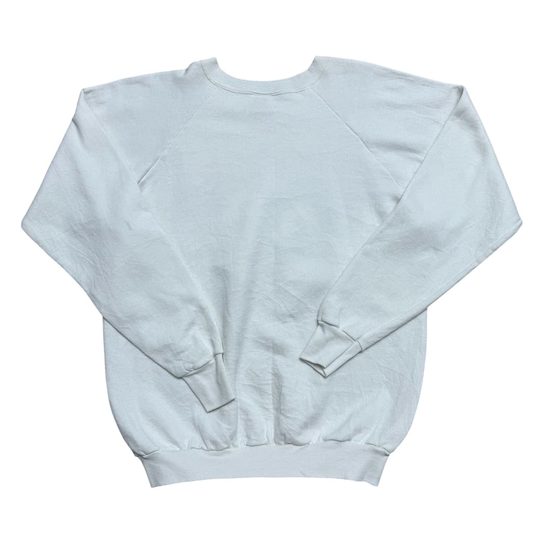 프룻오브더룸 맨투맨 상품이미지3