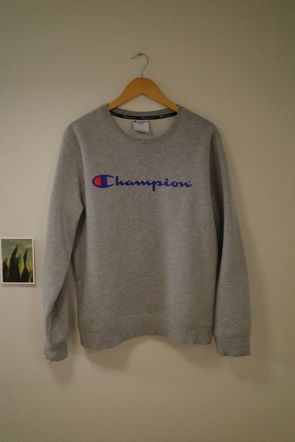 챔피온 맨투맨 L 상품이미지1