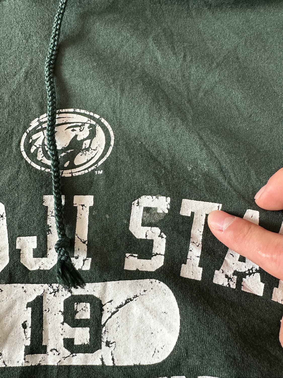 챔피온 Champion Authentic 후드 상품이미지3