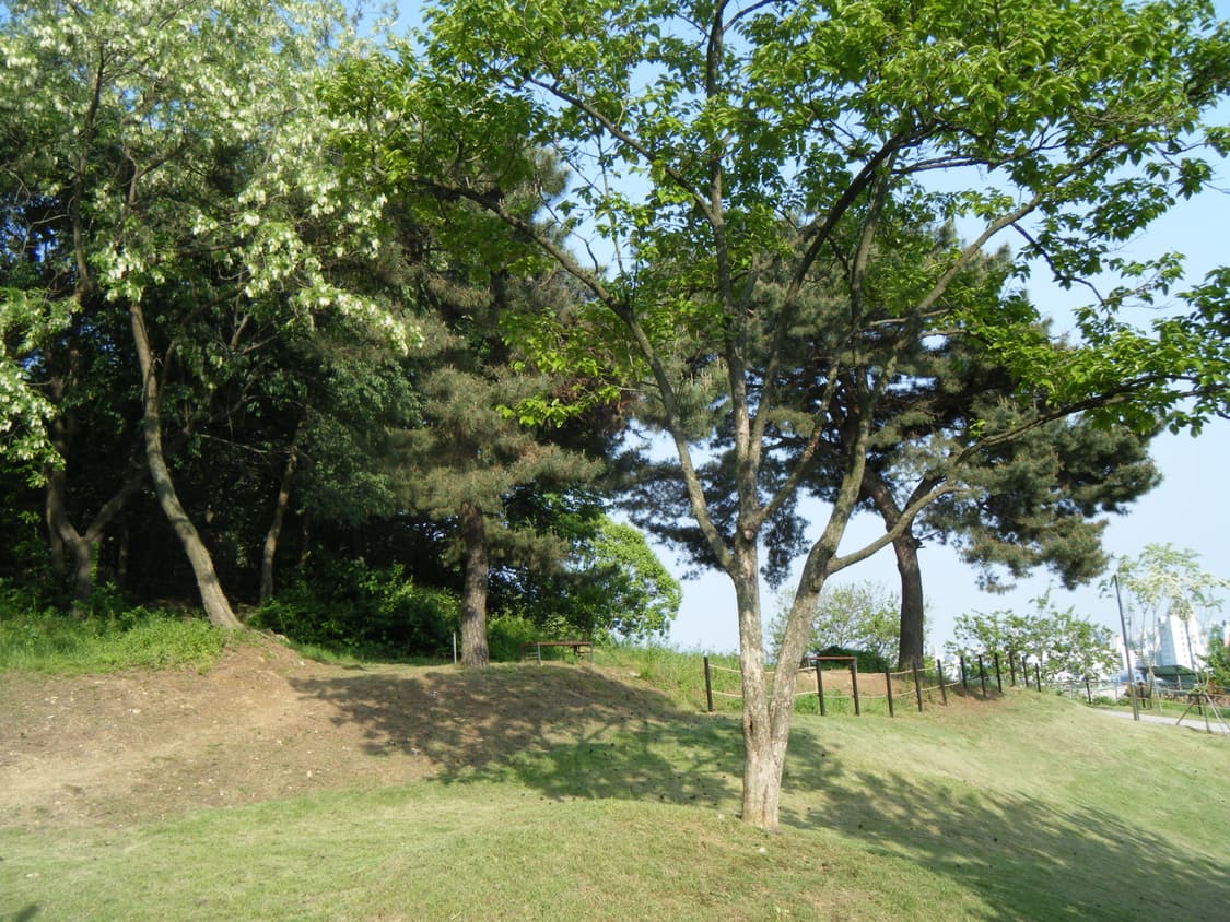 후지필름 z30(작례o) 상품이미지9