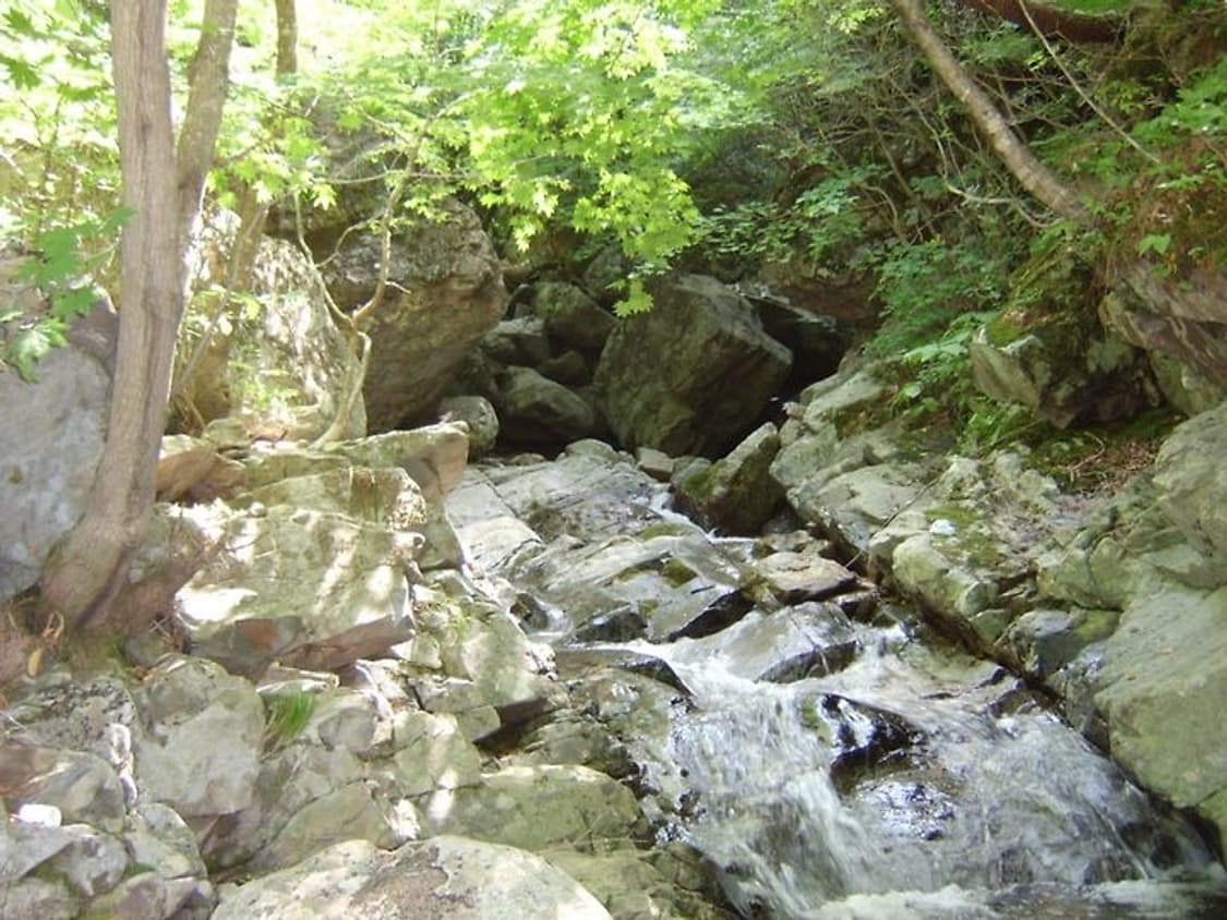 삼성 케녹스 Samsung Kenox D610 실버 상품이미지3