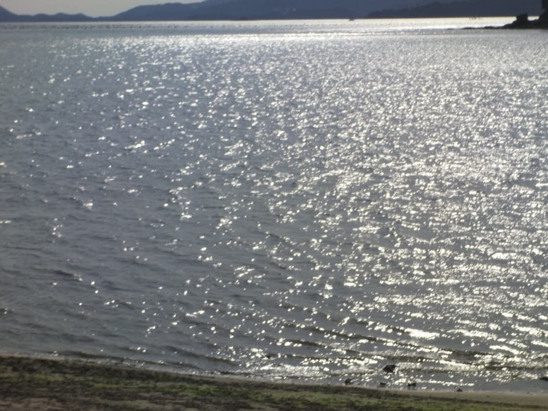 산요 작티 ca100(작례 ㅇ) 상품이미지7