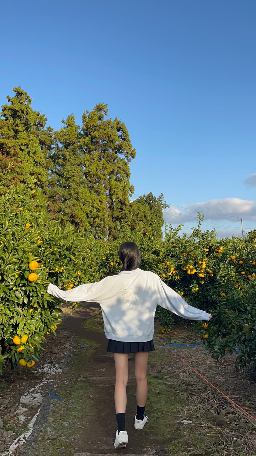 리본빛 테리 스윗셔츠 상품이미지1