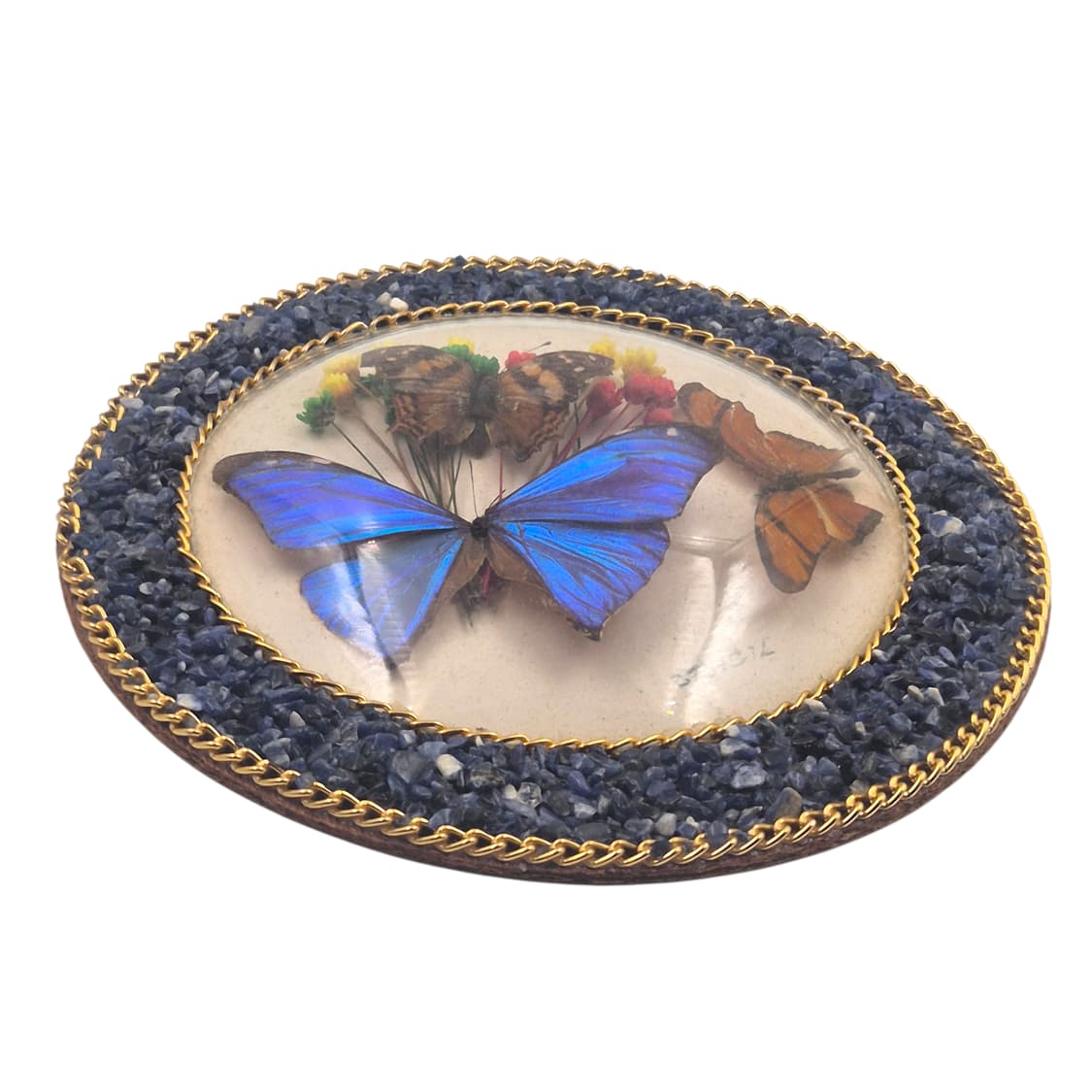90s 브라질 모르포 나비 표본 원석 벽걸이 상품이미지4