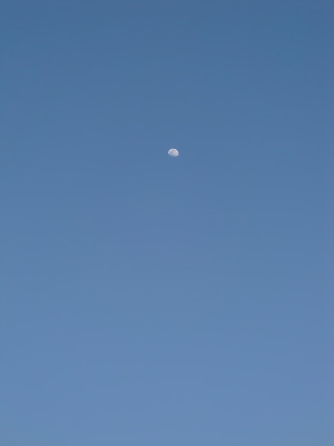 카시오 엑슬림 ex-z330(작례O) 상품이미지10