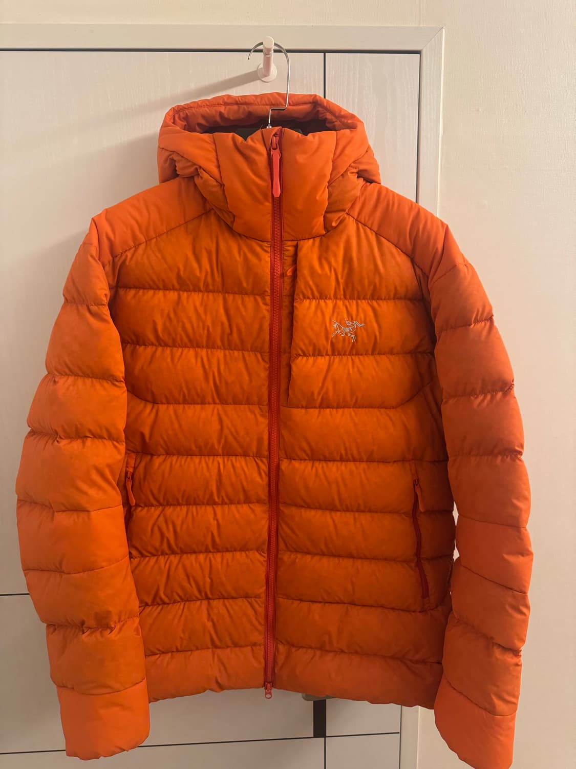 아크테릭스 토륨 후디 페놈 L 상품이미지3