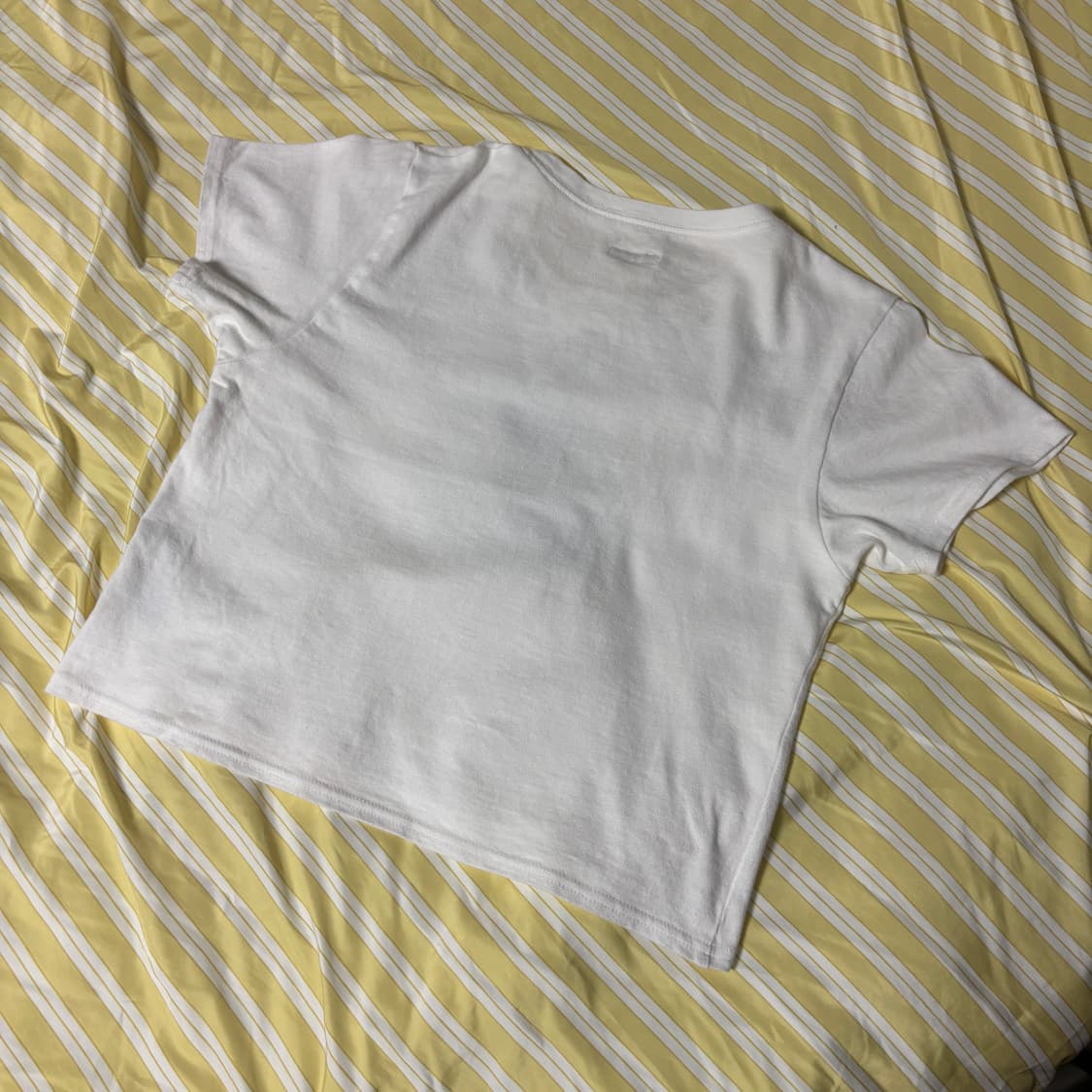 캐피탈 20-T-클로스 크롭 티셔츠 콘초 코니보위트 화이트 상품이미지3