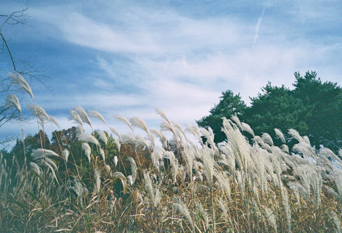 라이카 미니2 상품이미지10