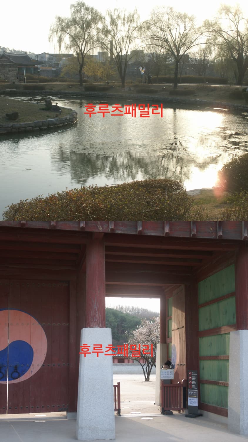 작례O 미놀타 디미지 X1 상품이미지6