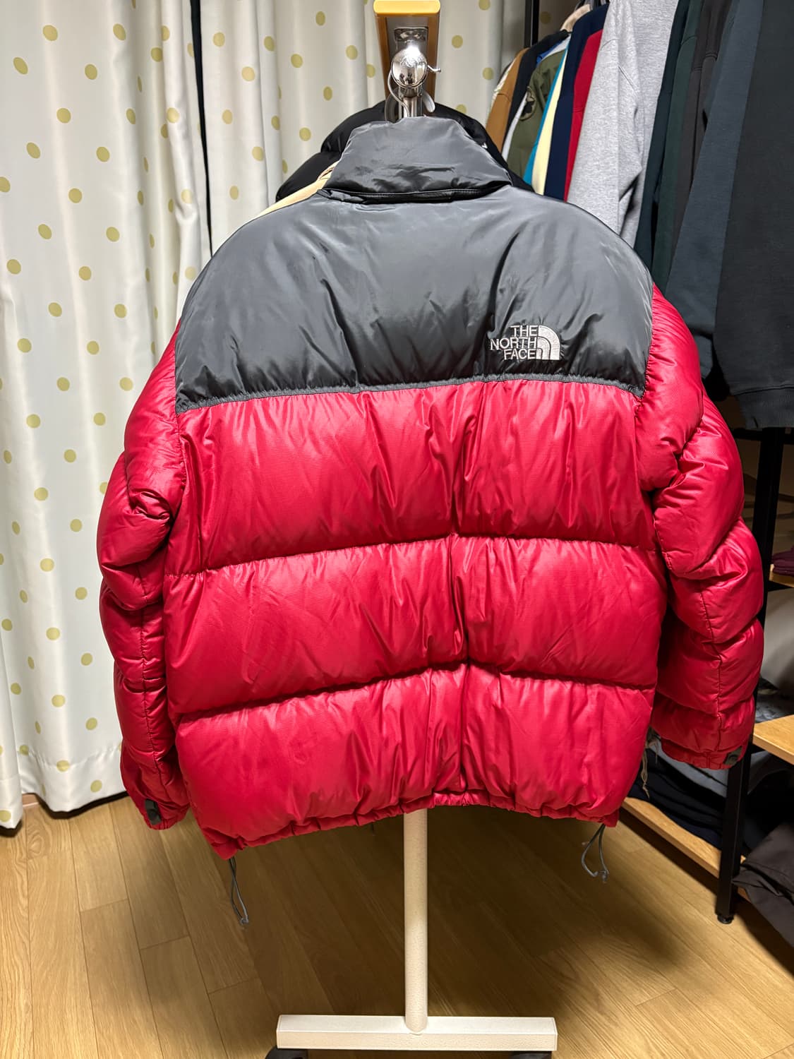 노스페이스 눕시 (골드윈) 100, 라지 상품이미지6