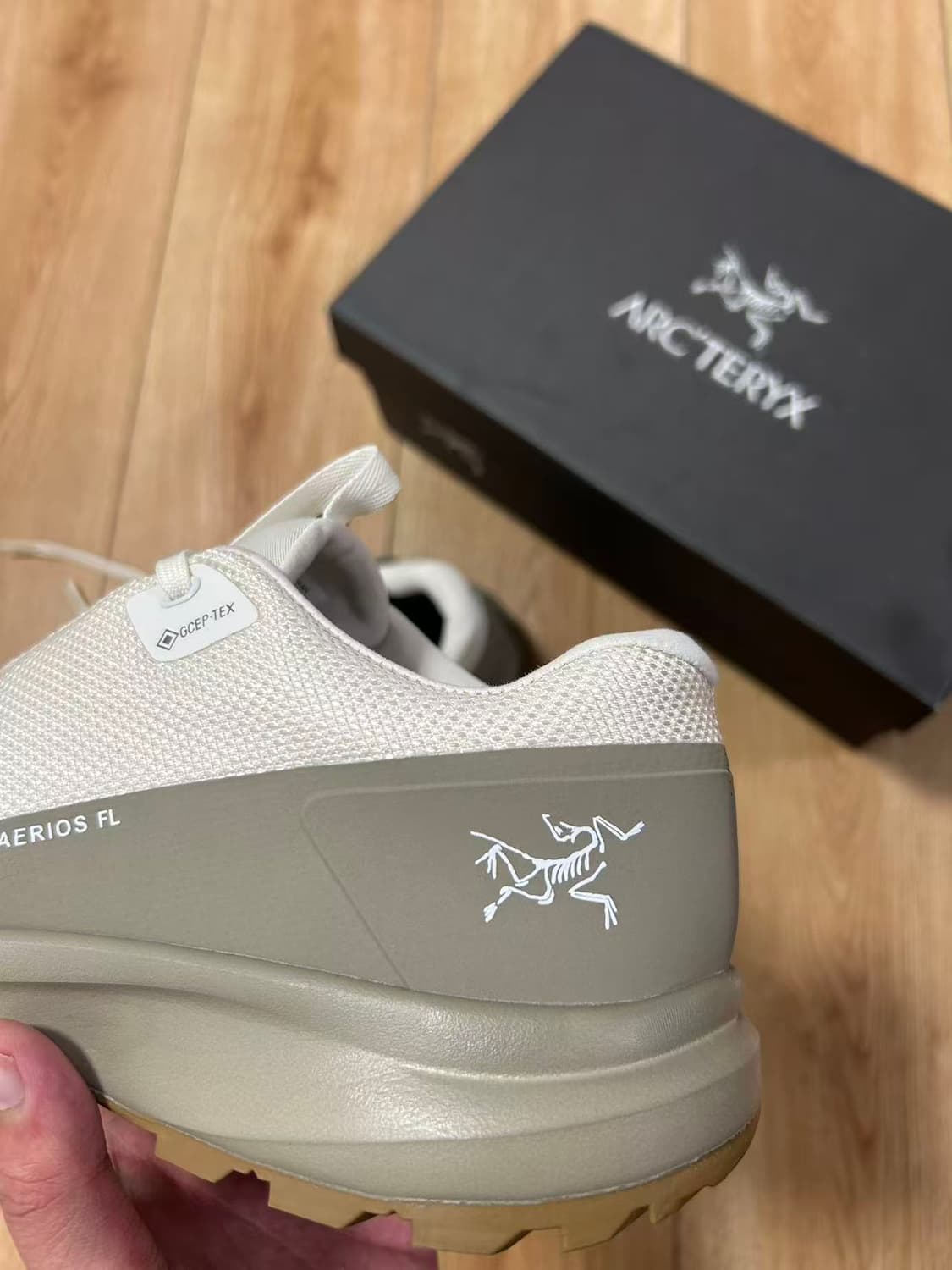 아크테릭스 에어리어스 FL 2 고어텍스 아크틱 실크 스모크 블러프 상품이미지6