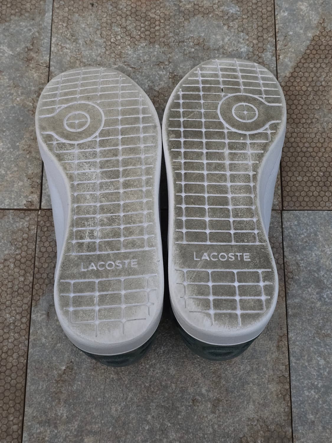 (230)라코스테 카나비 에보  상품이미지10