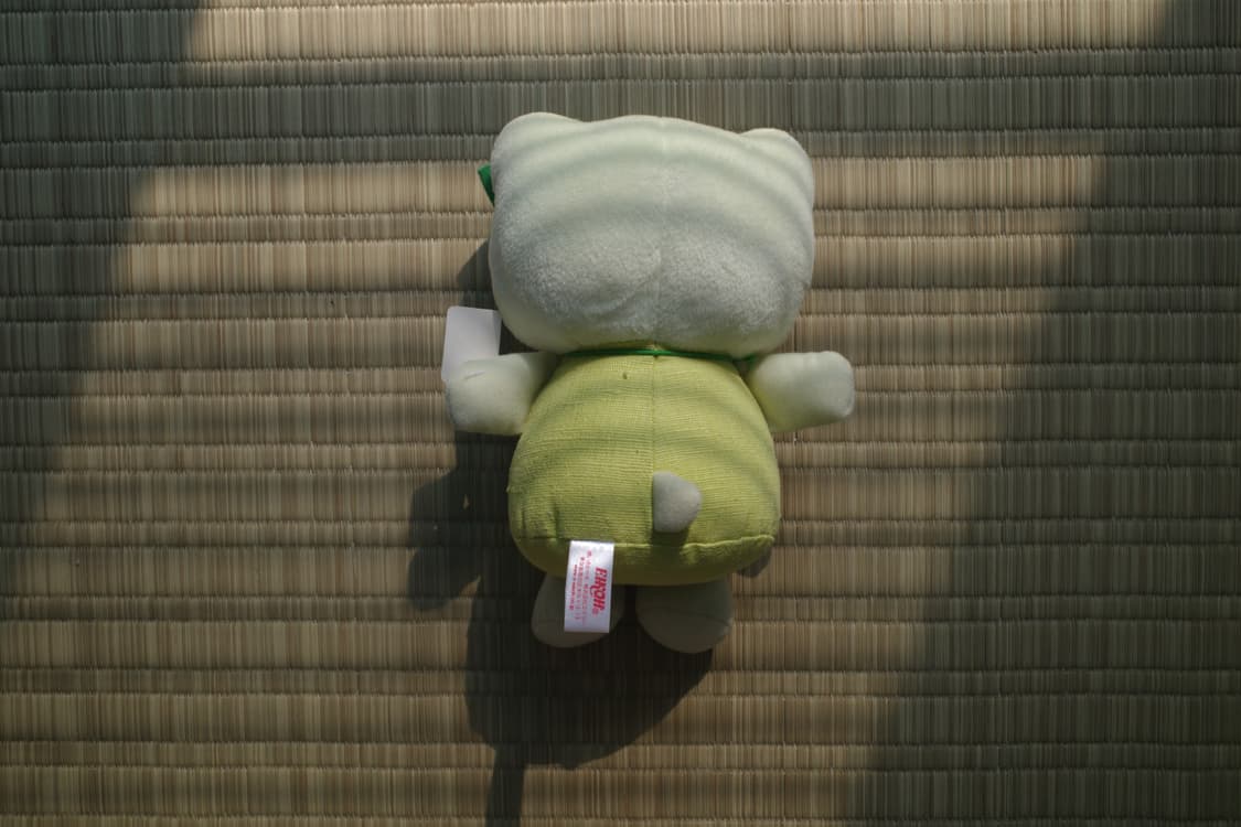 고전 헬로키티 띵크 그린 봉제 인형 상품이미지2