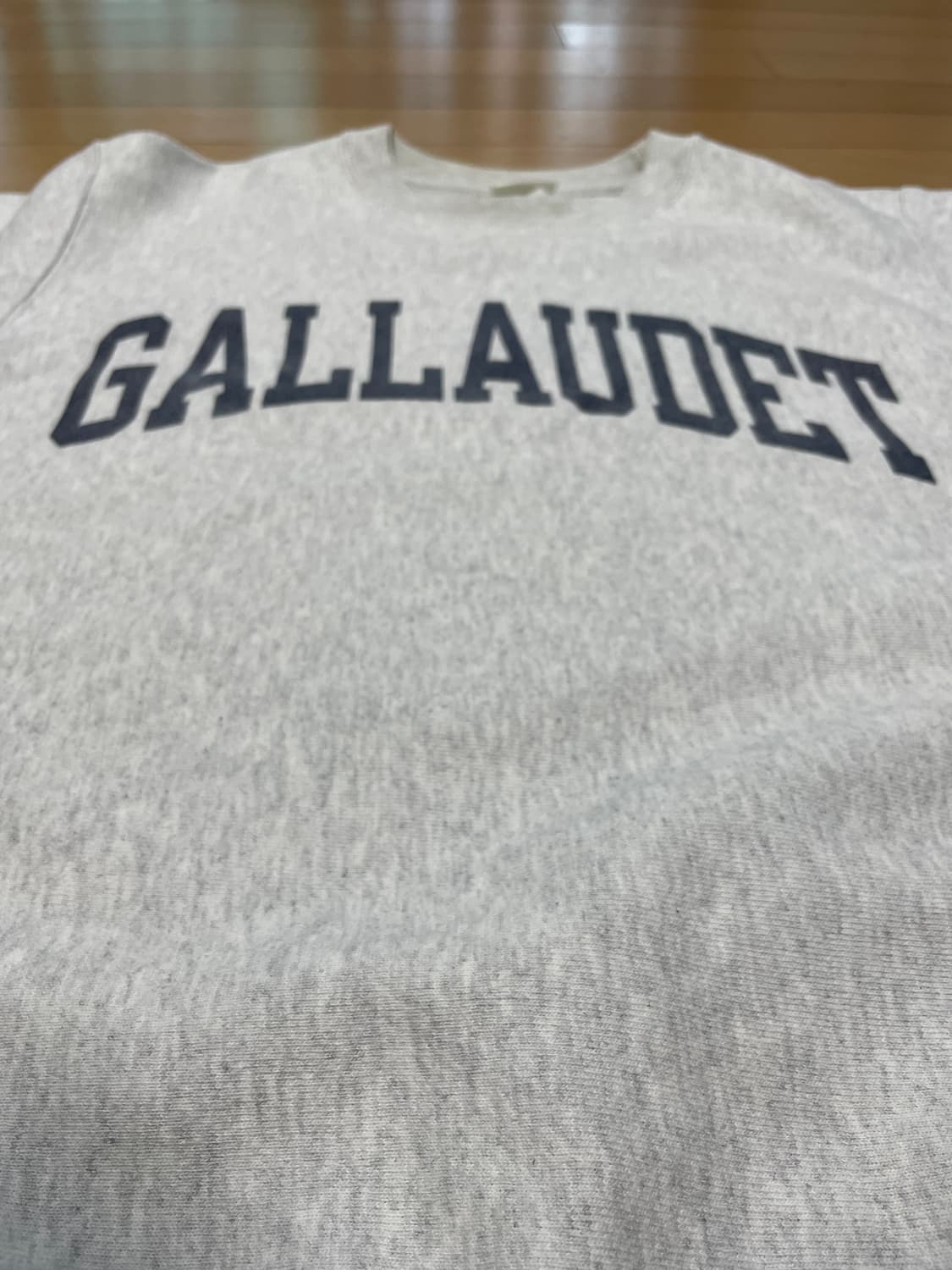 챔피온 스웻셔츠 맨투맨 팝니다 상품이미지4