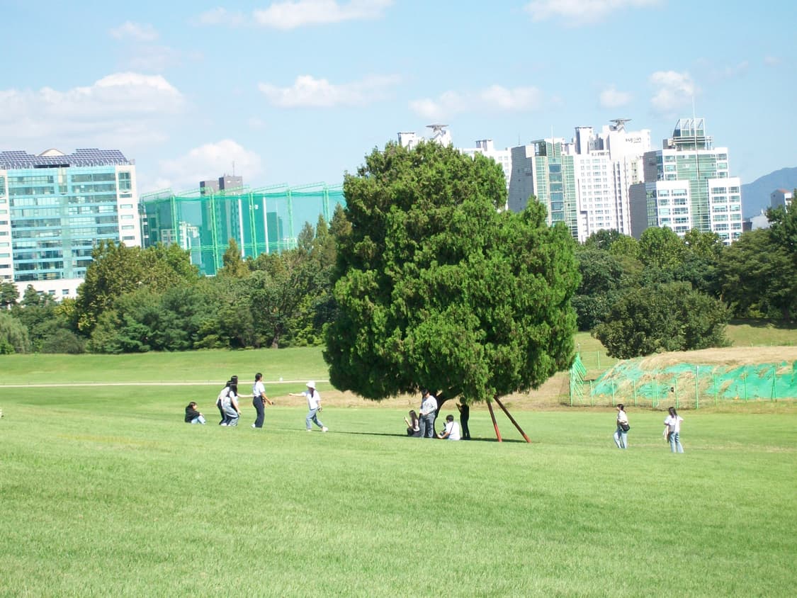 필름색감&입문!) Kodak Easyshare LS420 디카 카메라 상품이미지5