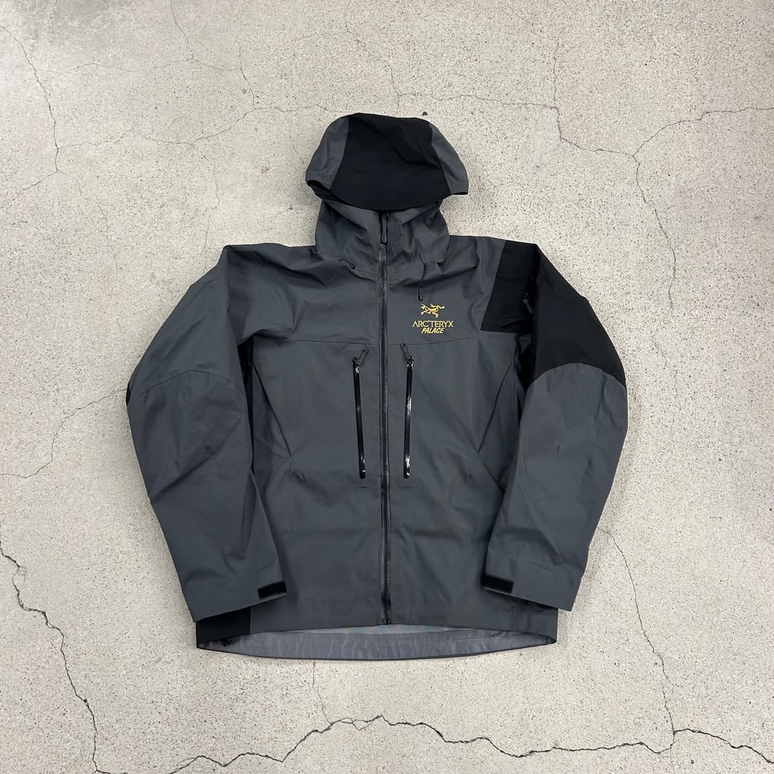 20FW PALACE X ARC'TERYX ALPHA SV 상품이미지1