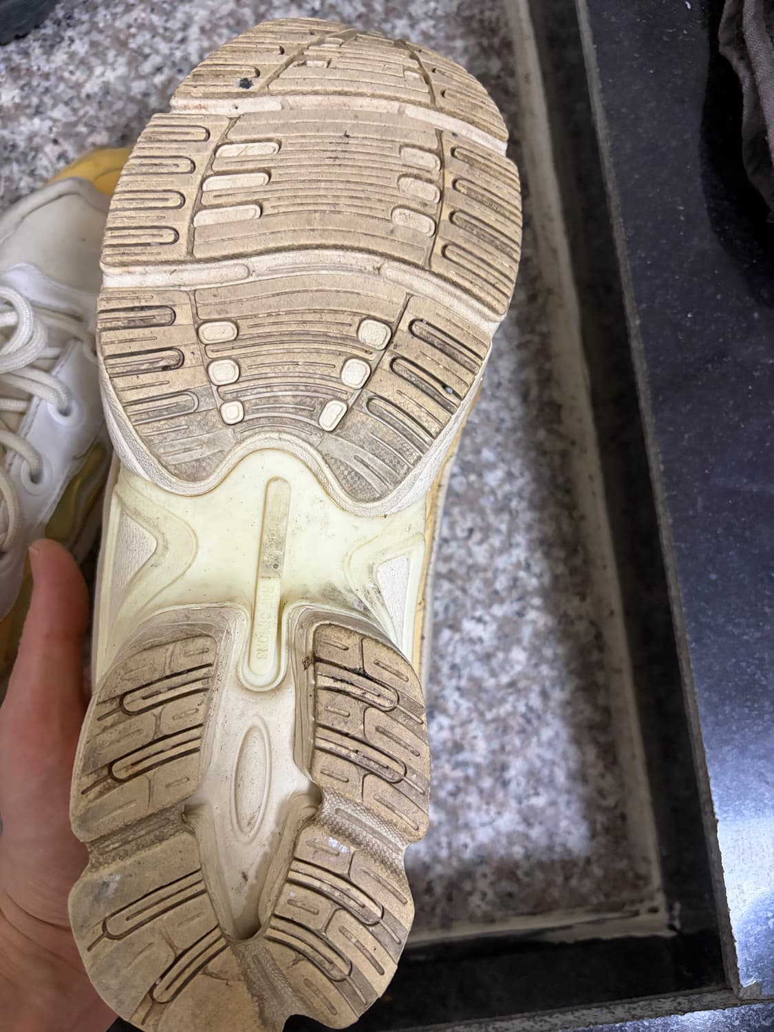 라프시몬스 오즈위고 버니크림 255 상품이미지6