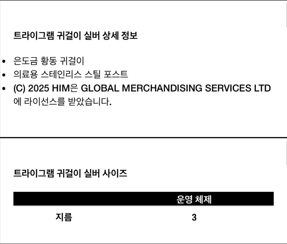 팔라스 x HIM 트라이그램 귀걸이 실버 이어링 상품이미지6