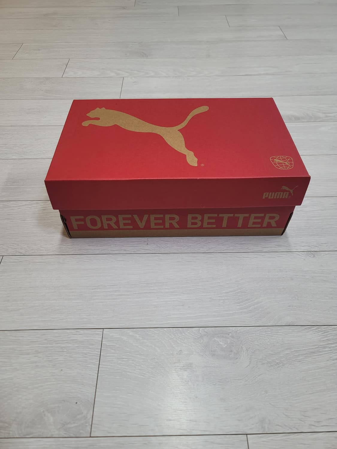 (230)푸마 풋살화 비토리아 TT Jr.[대전 직거래도 가능] 상품이미지2