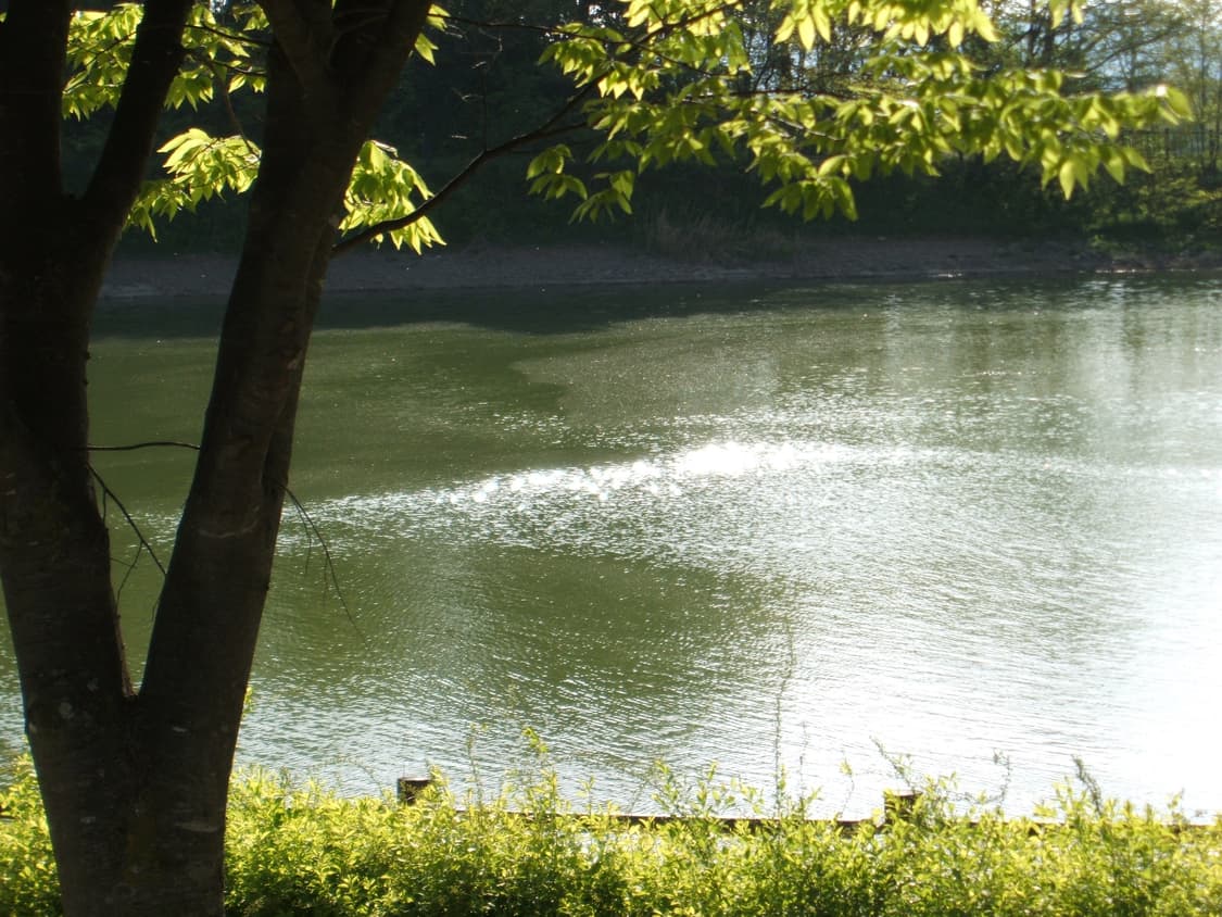 (작례⭕️) 후지필름 파인픽스 f450 상태최상 풀박스 판매 상품이미지9