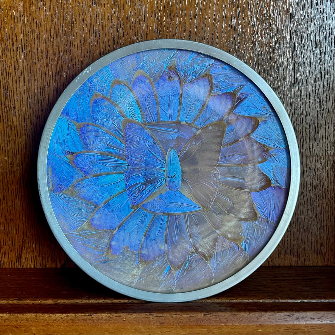 [mexican vintage] 빈티지 멕시코 모르포나비 주석 액자 접시 상품이미지2