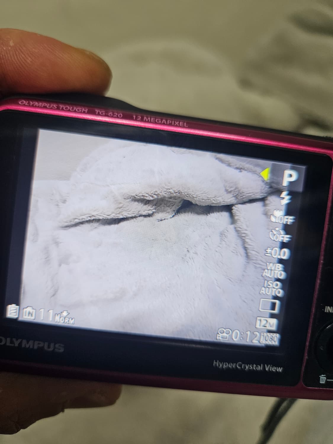 올림푸스 터프 tg-620 레트로 디카 디지털 카메라 상품이미지6