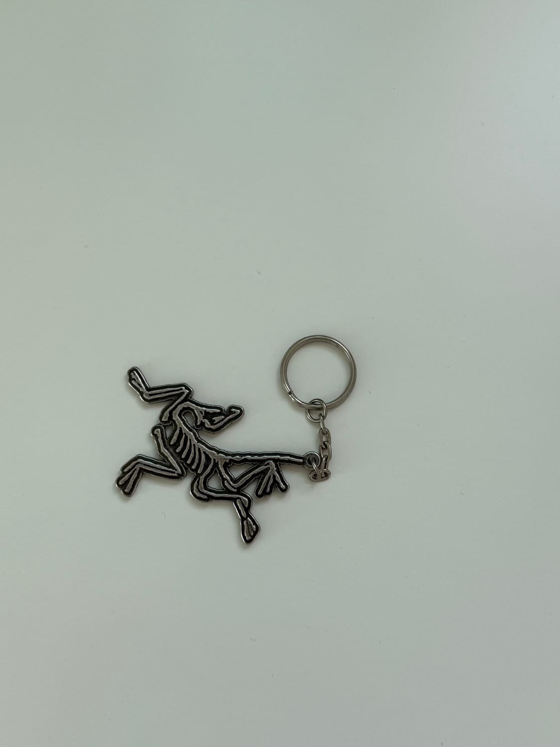 [새상품] 아크테릭스 키링 상품이미지2