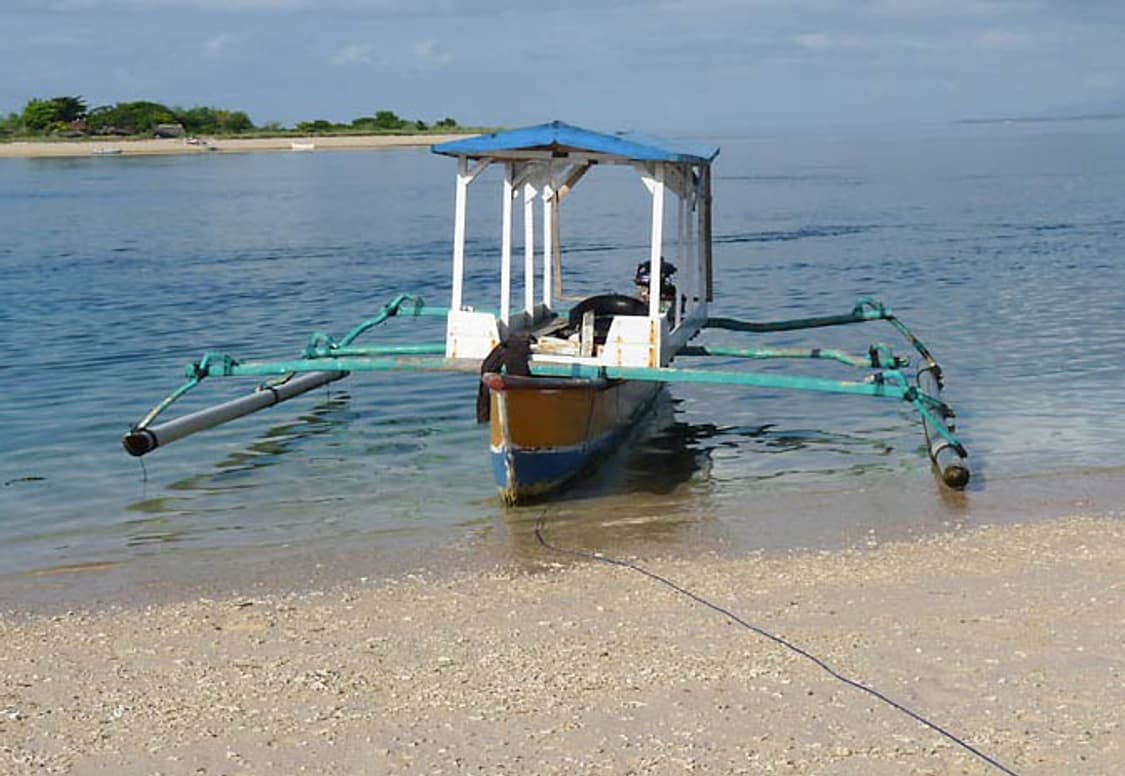 Fujifilm FinePix A605 (후지필름 파인픽스 A605) 상품이미지10