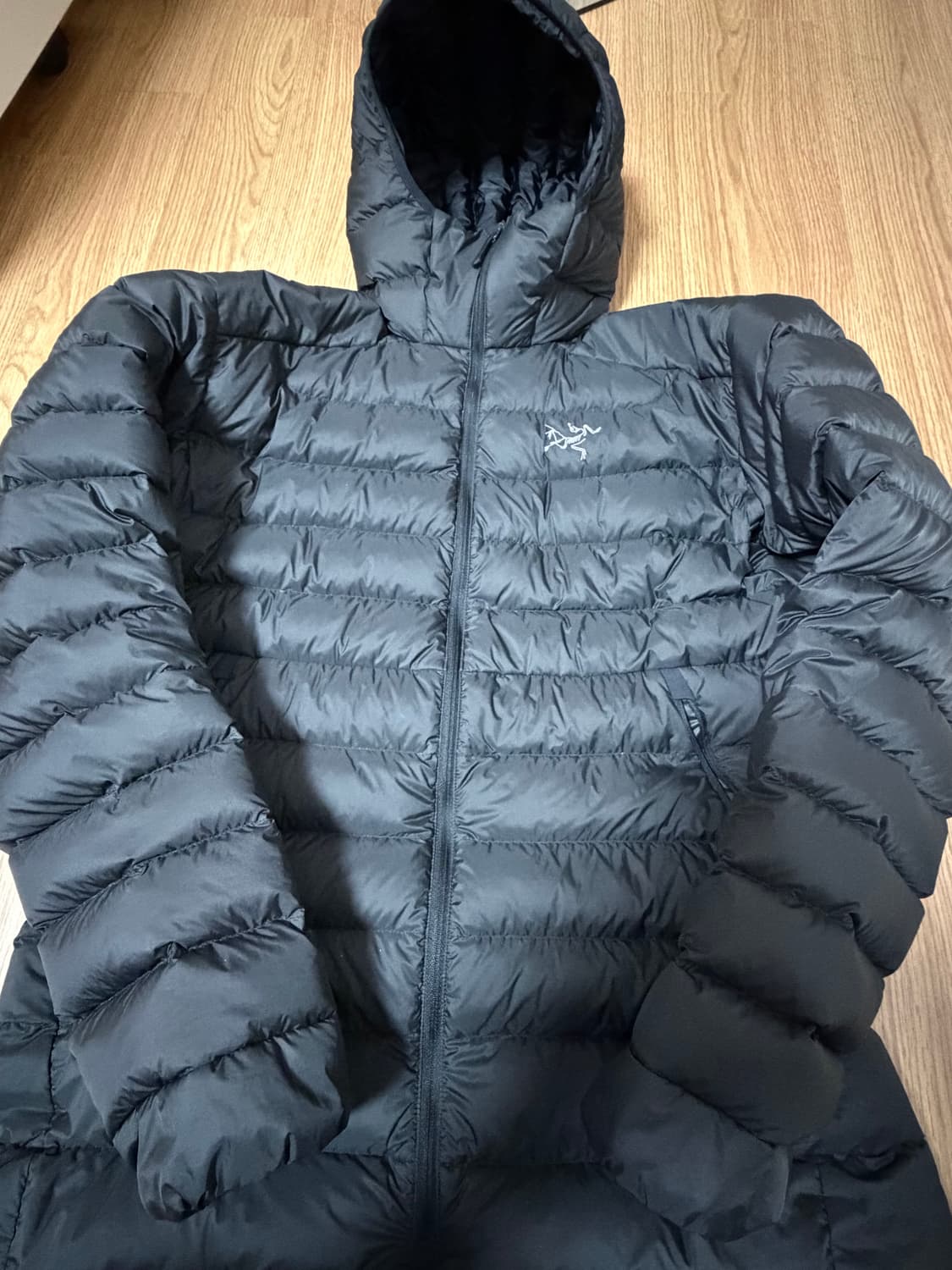 아크테릭스 세륨 후디 M 블랙 상품이미지2