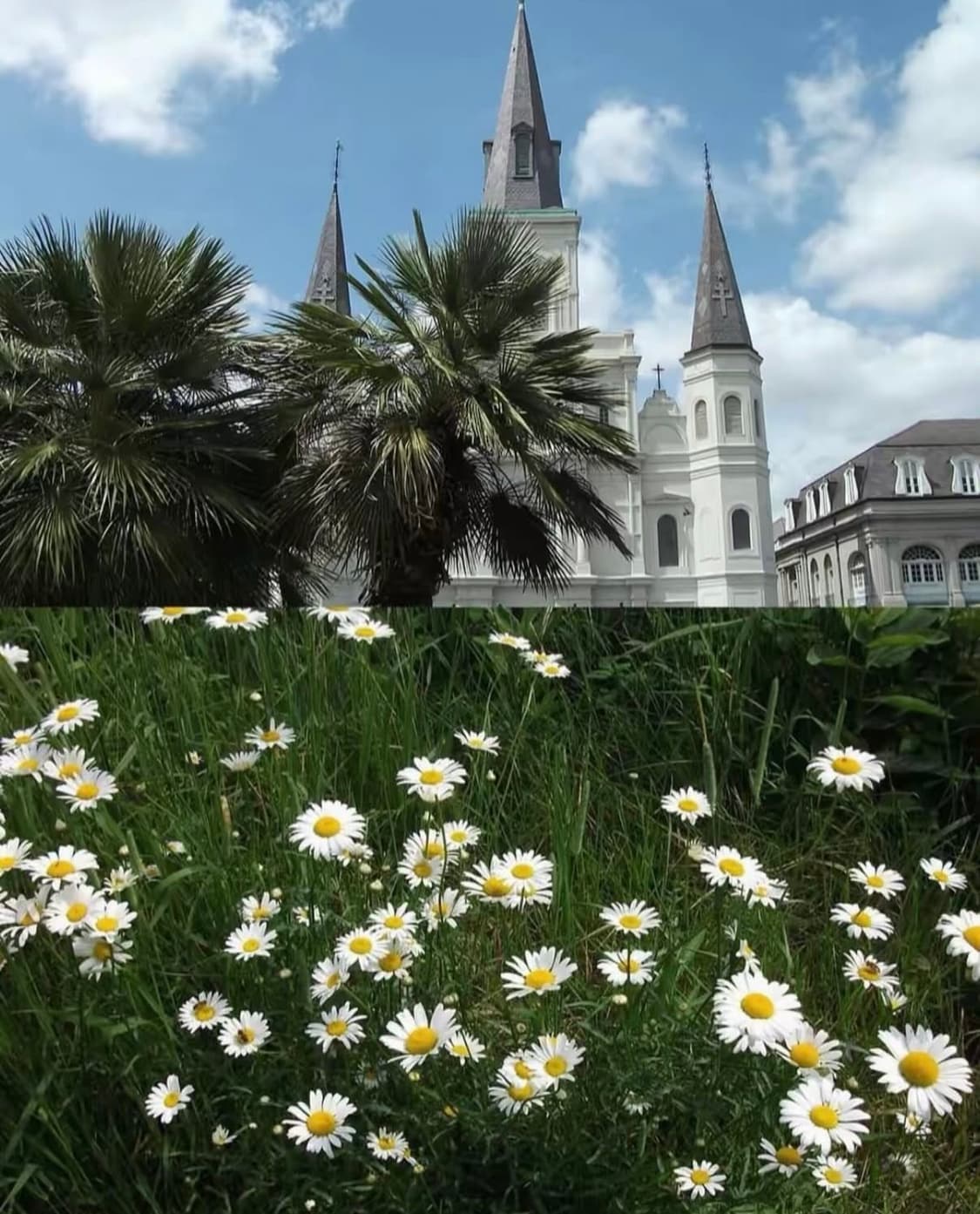 후지필름 파인픽스 Fujifilm FinePix AV130 디지털카메라 상품이미지5