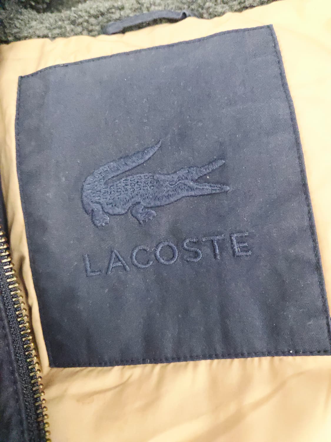 라코스테 네이비 덕다운 파카 패딩_95 상품이미지9