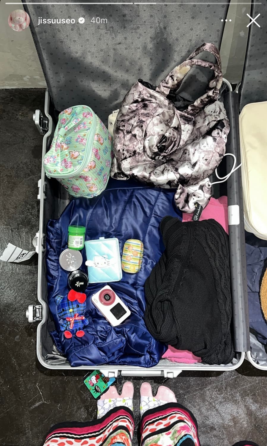 (새상품) 스위머 베니티 파우치 (코이세이오 지수님 파우치) 상품이미지3