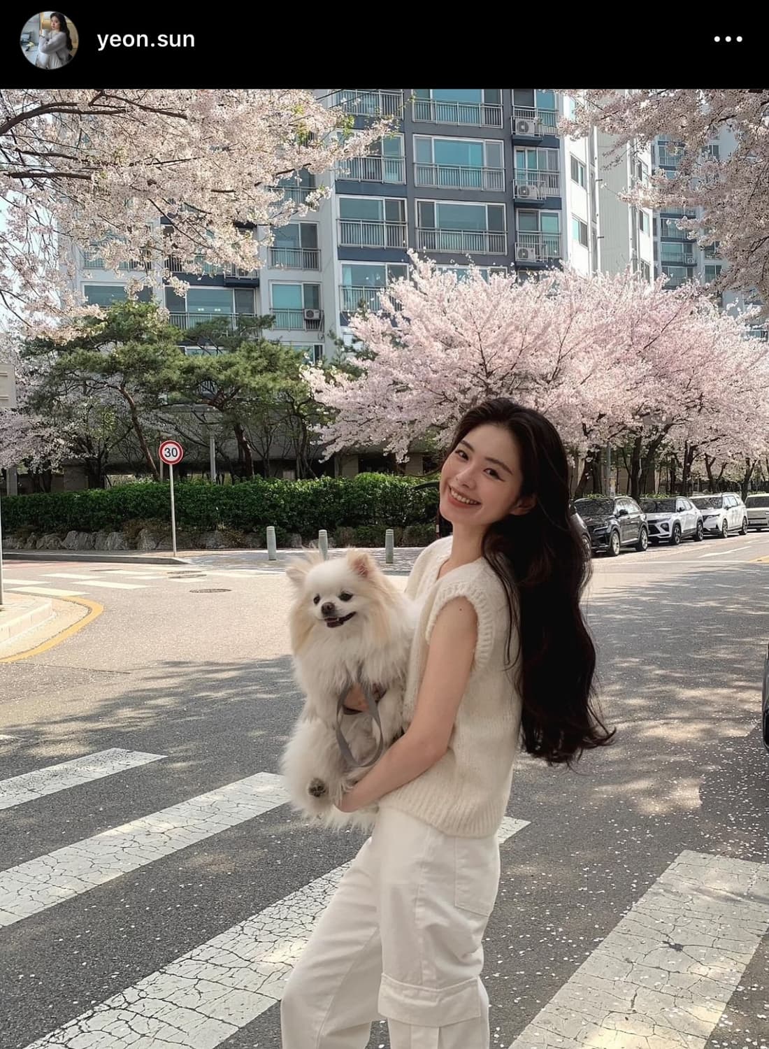 윤슬 알파카 베스트 아이보리 alpaca vest 상품이미지10