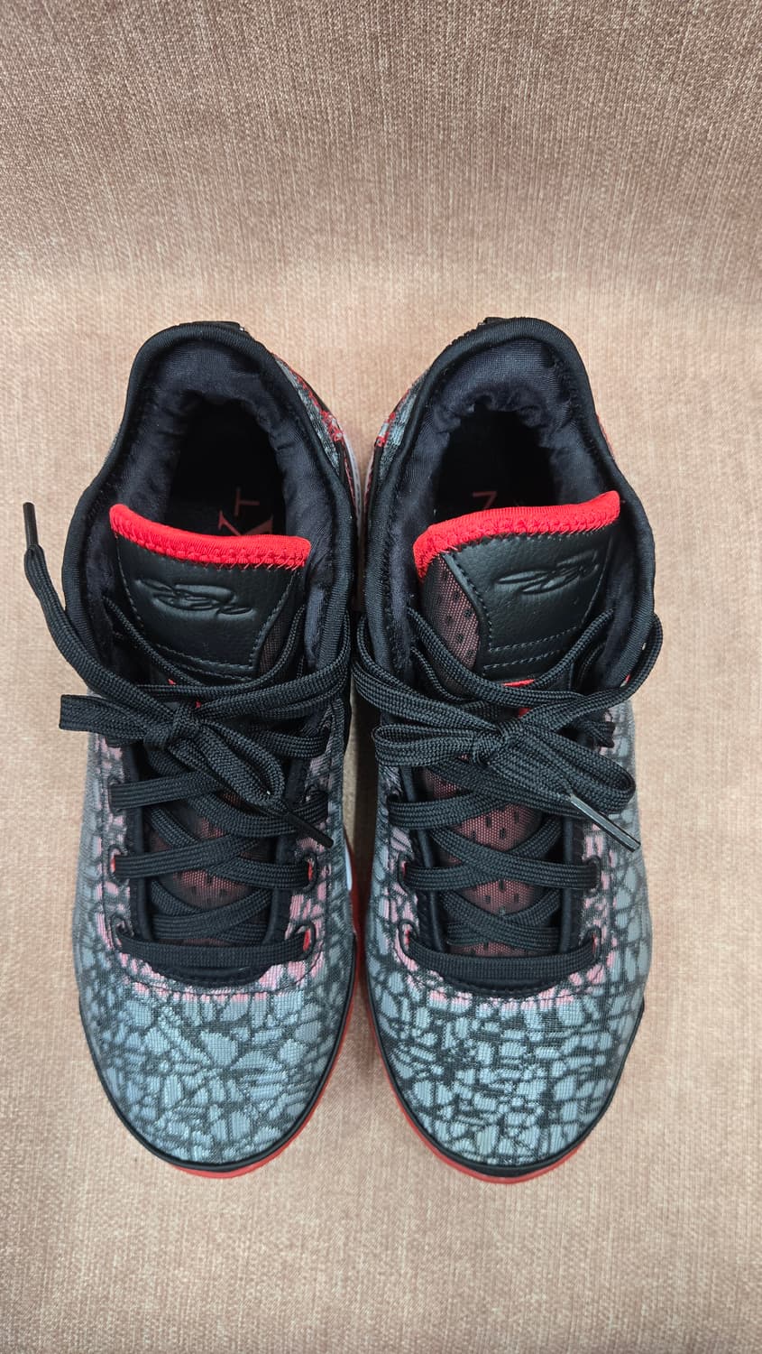 나이키 미착용 260mm-  르브론 NXXT 젠 EP    상품이미지2