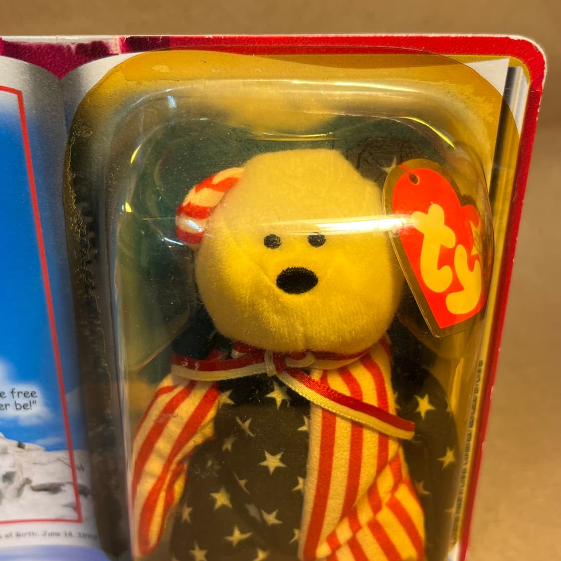 Ty베어 Spangle the Bear 상품이미지5